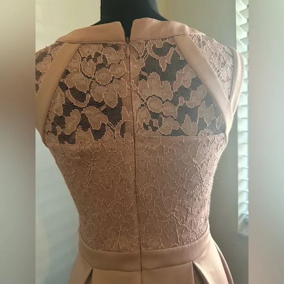 EUC‼️ Enfocus Studio Dusty Rose Sparkly Lace Dress. - Picture 3 of 8